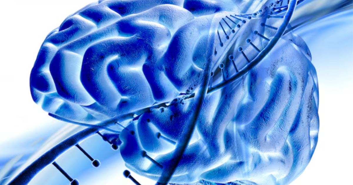 Understanding Neural Tube Defects: Path to Recovery